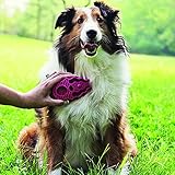 KONG Zoom Groom Multi-Use Dog Brush Pink