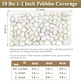 FANTIAN 5 lbs White River Rocks, Polished Pebbles for Indoor Plants, 1-2 inch Decorative White Stones for Plants Vase Aquarium Fish Tank and Outdoor Garden Landscaping Rocks