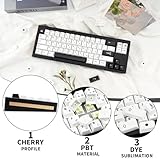 Black and White Japanese Keycaps, Custom Cherry Profile Keycaps, Dye Sub PBT Keycaps 60 Percent for ANSI Layout Cherry Mx Switches Mechanical Keyboard - 140 Keys Minimalist White on Black Keycaps