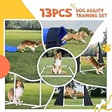 POPMOON Dog Agility Training Equipment-Perfect Agility Training Equipment for Dogs-Suitable for Indoor and Outdoor, Includes Tunnel, Bags, Jumps & Toys - Professional Backyard Agility Course for Dogs