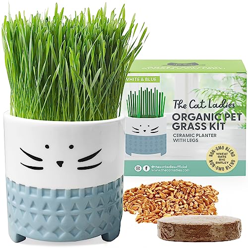 The Cat Ladies Cat Grass for Indoor Cats, Cat Grass Growing Kit with Organic Cat Grass Seed Mix, Soil and Ceramic Cat Planter, Pet Grass for Cats, Natural Hairball Remedy, Cat Gifts