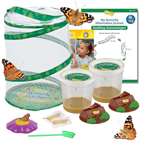 Insect Lore Butterfly Garden | Original 12" Habitat and Two Cups of Live Baby Caterpillars | Life Science & STEM Education Kit