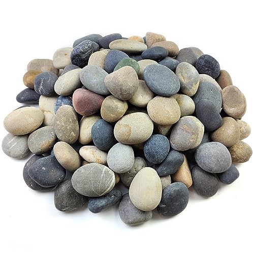 FANTIAN 20 lbs Natural River Rocks Mexican Beach Pebbles, 2-3 Inch Decorative River Rocks for Landscaping Garden Paving Plant Rocks Crafting Walkways and Outdoor Decorative Stone