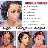 INSTASTYLE Short Curly Pixie Cut Lace Front Wigs 6 inch, 13X1 Human Hair HD Lace Front Wigs Plucked for Women 6 Inch, Natural Black