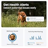 Tractive GPS Dog Tracker (2025 Release) | Real-time Pet Location Tracker | Health & Wellness Alerts | Virtual Fence for Dogs | Bark Monitoring | Dog Collar Attachment (Mint)