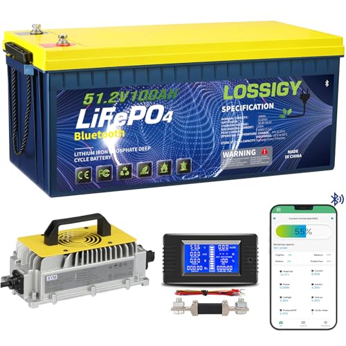 LOSSIGY 48V Lithium Golf Cart Battery with 18A Lithium Charger, 48 Volt 100Ah LiFePO4 Battery, Built in 200A Bluetooth BMS & LCD 10.24kW Output, Peak Current 1000A(3-5s), Prefect for RV Solar System