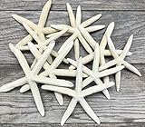 Nautical Crush Trading Starfish Decor - Star Fish for Craft - 10pk Real 6-8" White Sea Stars - Beach Wedding Decor - Coastal Party Decorations - Seashell Décor