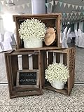 Baby's Breath Artificial Flowers Bulk 20 Pack (60pcs) Faux Baby Breath Plastic Flower Fake Gypsophila Flower Arrangement for Crafts Fake Flowers Bouquet for Wedding Centerpieces Cream Baby Breath