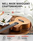 Donner Concert Ukulele Beginner Mahogany 23 Inch Ukelele Kit with Free Online Lesson Gig Bag Strap Nylon String Tuner Picks Cloth DUC-1 Gift Choice