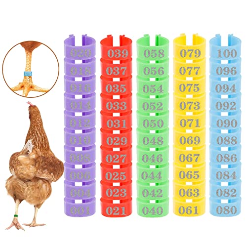 16mm 100 Pcs Chicken Leg Rings - Colorful Readable Numbered Chicken Identification Leg Bands, Durable Poultry Leg Bands Clip on Leg Rings for Ducks Chicks Chicken Guinea Pigeons Goose Gamefowl Turkey