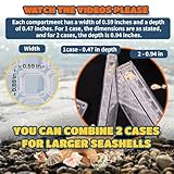 4 Pack of Seashell Display Box Acrylic Magnetic with 6.5ft Antique Rope Transparent Case 36 Grid compartments Remember Precious Moments with Your Kids by Decorating Walls, Windows (4 Pack (36 Grid))