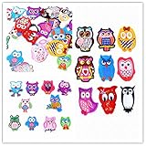 MSCFTFB 24 Pieces Owl Iron on Patches Assorted Color Applique Embroidered Badge Sew on Patch for Clothing Jackets Backpack Repairing Decorations