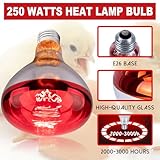 4 Pack 250 Watts Heat Lamp Bulbs, R40 Brooder Heat Lamp for Chickens, Infrared Reflector Heat Bulbs for Brooder Heater, Incandescent Heating bulb for Pet, Light Therapy, Bathroom, Food