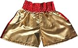 Full Funk Simple Satin Muaythai Fighting Dragon Shorts Muay Thai Kickboxing #37122