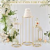 POMINEL Cylinder Stands for Party, 3 Pcs Gold Metal Cilindros Para Fiestas Cake Pedestal Flower Stands for Wedding Party