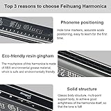 Best Harmonica C Key 24 Holes Major Diatonic Double Tremolo Beginner Harmonicas for Sale Musical Instrument Accessories Black with Case