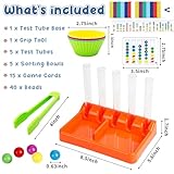 Counting and Color Sorting Toys, Preschool Kindergarten Learning Activities, Math Manipulatives Supplies Matching Games, Fine Motor Skills, Educational Montessori Toys for Kids 3 4 5 6 Year Old