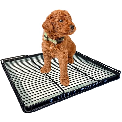 Little Wolves Puppy Potty Tray Essentials: 22x22 Reusable Heavy-Duty Tray w/Dog Pee Pads, Housebreaking Supplies, Pet Products & More for Dogs & Small Pets