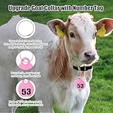 28 Pack Goat Collar with Number Tag Adjustable Nylon Sheep Collar Set Pet Livestock Plastic ID Number Tags Quick-Release Buckle for Small Farm Animal Sheep Calf Goat(Pink,No.29-56)