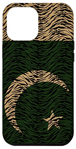 iPhone 12 Pro Max Pakistan Flag and Vintage Tiger Stripes - Pakistani Pride Case
