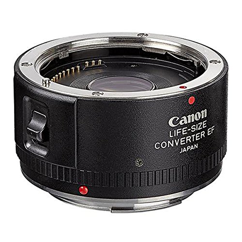 Canon Life Size Converter EF Macro Lens