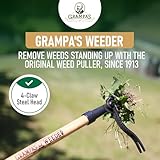 Grampa's Weeder - The Original Stand Up Weed Puller Tool with Long Handle - Made with Real Bamboo & 4-Claw Steel Head Design - Easily Remove Weeds Without Bending, Pulling, or Kneeling.