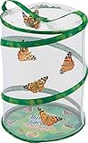 Insect Lore Butterfly Garden | Original 12" Habitat and Two Cups of Live Baby Caterpillars | Life Science & STEM Education Kit