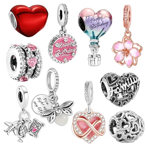 WANIUS 10 Pack Silver Charms for Pandora Bracelets and Necklaces Charms for Women CZ Pendant Jewelry Charm Set (Style 01)