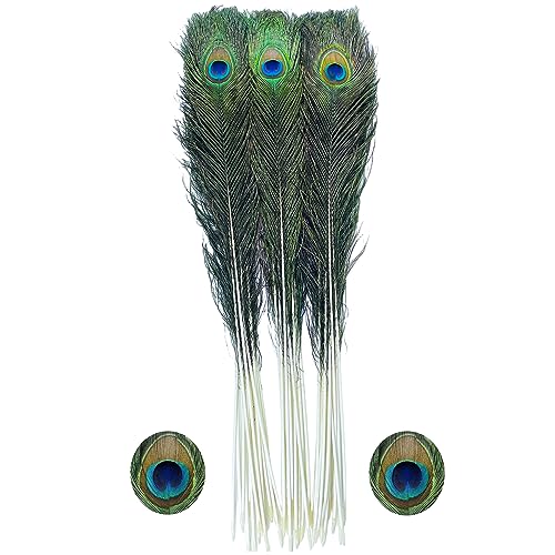 Bulk Natural Peacock Feathers-30Pcs 30-35in (76-90 cm),Long Peacock Feathers for Vase Decorations Party Decor and DIY Crafts