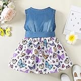 Baby Girl Clothes Summer Outfits Butterfly Sleeveless Dress Infant Denim Purple Dresses Sundress Toddler Causal Boho Dress 12-18 Months Girl Clothes