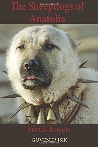 By Guvener Isik The Sheep Dogs of Anatolia: YÇôrǬk KoyÇõis [Paperback]