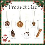 45 Pcs Neutral Christmas Tree Ornaments Dried Orange Slices Natural Pine Cones Cinnamon Sticks Acorn and Cotton Hanging Rustic Ornaments for Christmas Tree DIY Crafts Decorations