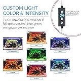 hygger Advanced LED Aquarium Light with Timer, 24/7 Lighting Cycle & DIY Mode, Full Spectrum Fish Tank Light for 48-54 in Freshwater Planted Tank