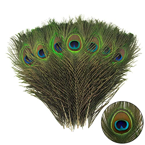 THARAHT 120pcs Peacock Feather Natural in Bulk 10-12 inch 25-30cm for Craft Vase Wedding Home Party Christmas Day Decoration Peacock Feathers