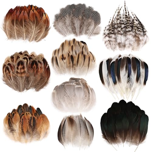 FeelfunFeather 300 pcs Small Feathers - 10 Style Mixed Spotted Decorative Natual Pheasant Feather for DIY Crafts Clothing Jewelry Hair Decoration