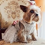 Fitwarm Luxury Rose Lace Pet Dog Weddding Dress Bride Clothes Formal Apparel, Small