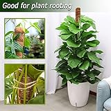 2 Pack Moss Pole, 28 Inch Bendable Moss Pole for Plants Monstera, Moss Poles for Climbing Plants Indoor, Coir Plant Pole Sticks Support Stakes for Potted Plants, Pothos, Philodendron