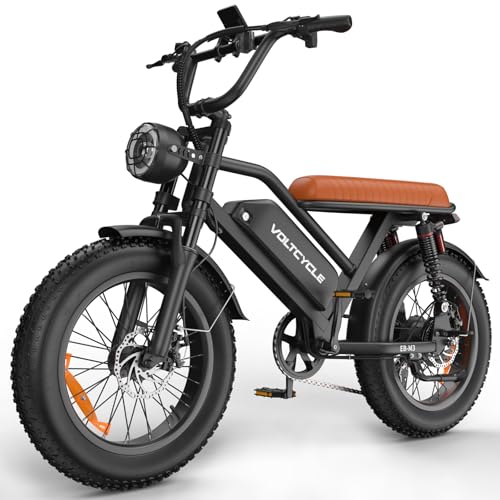 Electric Bike for Adults, 48V 18.2AH Electric Motorcycle Long Seat Electric Bicycle Full Suspension 20" Fat Tire Ebike Max 28MPH& 30-60 Miles All Terrain E-Bike for Mountains, Sand, Road (48V 500W)