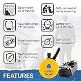 E-Collar - ET-300-1/2 Mile Remote Waterproof Trainer Mini Educator Remote Training Collar - 100 Training Levels Plus Vibration and Sound - Includes PetsTEK Dog Training Clicker