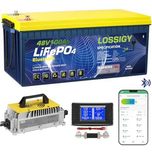 LOSSIGY 48V Lithium Golf Cart Battery with 18A Lithium Charger, 48 Volt 100Ah LiFePO4 Battery, Built in 200A Bluetooth BMS & LCD 10.24kW Output, Peak Current 1000A(3-5s), Prefect for RV Solar System