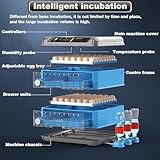 Egg Incubator, 192/256/500 Egg Incubator, Poultry Hatcher Machine with Automatic Egg Turning, Temperature & Humidity Control and LED Screen, General Purpose Incubator for Chickens Ducks Bird(Size:500)