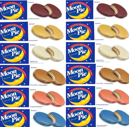 Mini Moon Pies – 72 Count (12 Boxes, 6 Each) – All 6 Flavors – Individually Wrapped – Bulk Snacks for Office, Staff, Clients, Meetings, Training, Events – Wholesale Treats