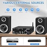 AEXCVG HiFi Stereo Audio Amplifier,AK-3116 Bluetooth 5.3 Stereo Receiver, 2.0 Channel 100W x 2 Mini Bluetooth Amplifier Class D Digital Amplifier with TPA3116 chip, USB,AUX,FM for Home,Outdoor