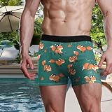 visesunny Men's Boxer Briefs Fox Animal Pattern Soft Breathable Underwear Comfort Stretch Waistband Underpants L