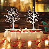 PEIDUO Easter Decorations, 2FT Birch Tree with LED Lights, Warm White Light up Tree Lamp, Easter Tree for Home Table Inside, Easter Decor Indoor, Battery Powered, Timer (2PK)