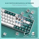 ZIYOU LANG RK-T8 Wired 65% Mechanical Gaming Keyboard with RGB LED Backlit Anti-ghosting TKL Mini 68 Key Custom Coiled C to A Cable Tactile Blue Switch for PS4 PS5 Xbox PC Mac Gamer(Green/White)