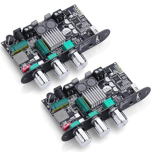 2 Pack ZK-1001U Bluetooth 5.3 Mono Amplifier Board with TWS & Boost Circuit, Mini Audio Amp for Home Outdoor DIY Speakers with 100W Power Output, Treble and Bass, USB/AUX/BT Input, DC 9-24V
