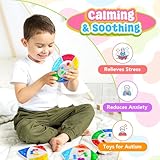 Color Sorting Toys Sensory Toys : Fine Motor Skill Games for Toddlers Quiet Fidgets for Classroom, Color Matching Montessori Toys Preschool Learning Activities Calming Travel Toys for Kids Ages 3 4 5