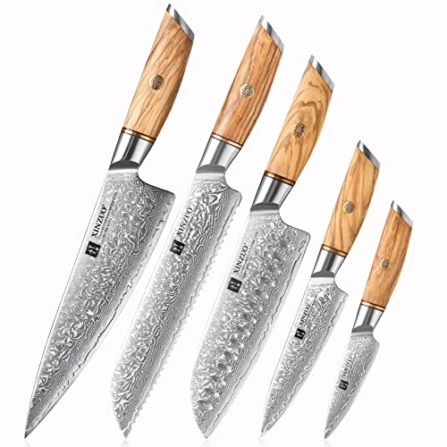 XINZUO 73 Layers Hand Forged Damascus Kitchen Knife Set-5Pcs Professional Chef Knife Set,High Carbon Steel With Natural Olive Wood Handle-Lan Series