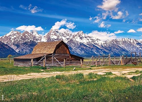 BEDUKE Jigsaw Puzzles for Adults 1000 Pieces Grand Teton National Park Precise Interlocking Thick Sturdy Cardboard Family Game 1000 Piece Puzzle Age 14+